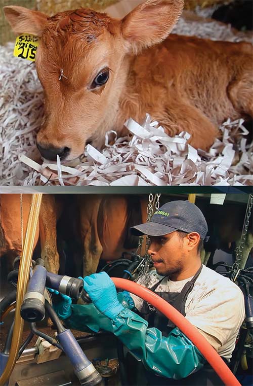 National Farmers - Bohnert Family