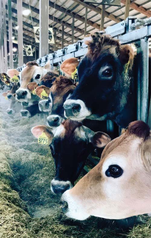 National Farmers - Bohnert Family