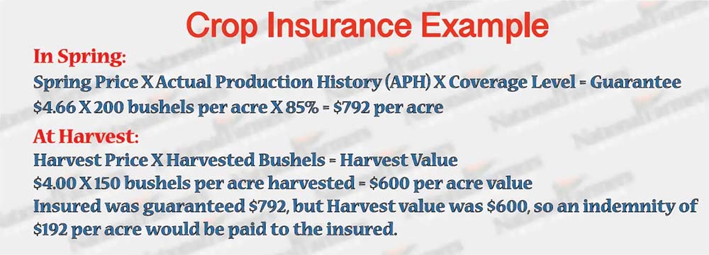 National Farmers - Crop Insurance