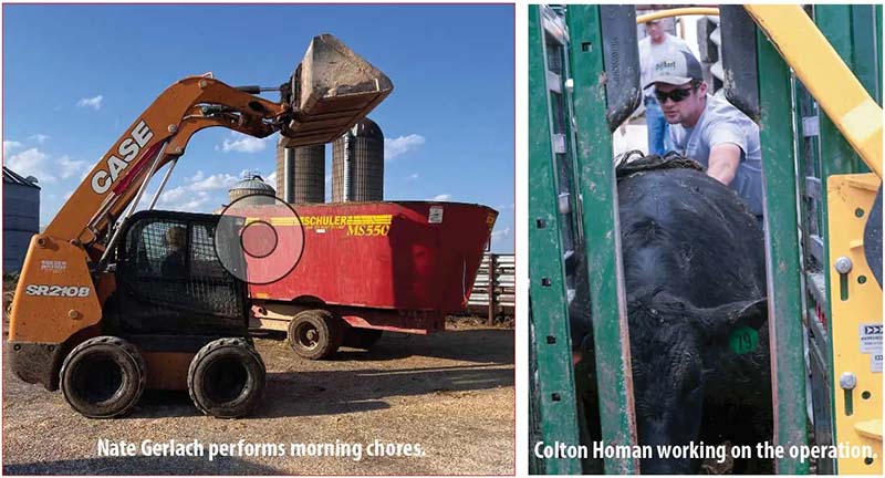 National Farmers - Northeast Iowa Cattlemen Hedge